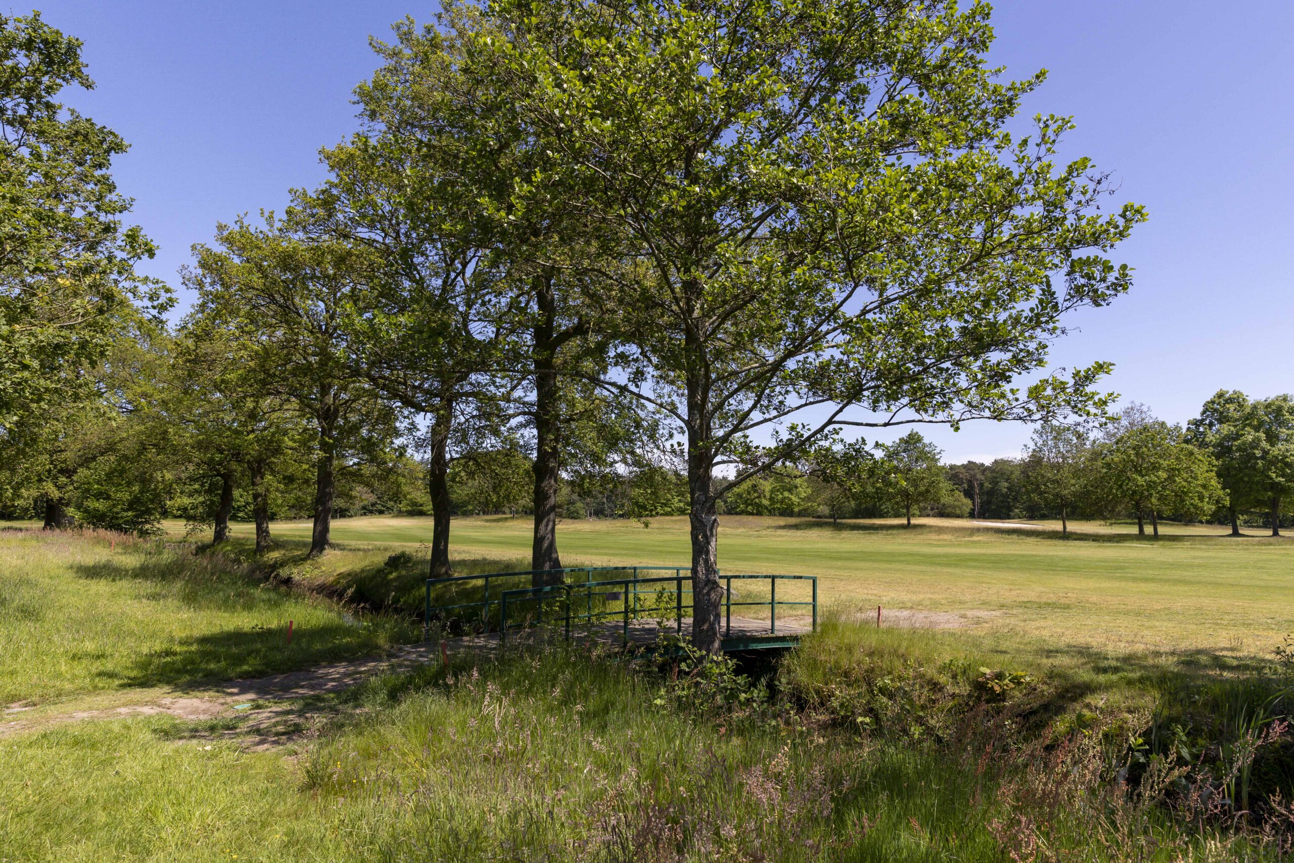 Golftas op groene baan